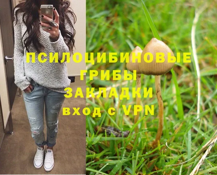 Галлюциногенные грибы Psilocybine cubensis  как найти наркотики  Горнозаводск 